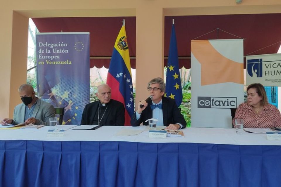 Cofavic y UE