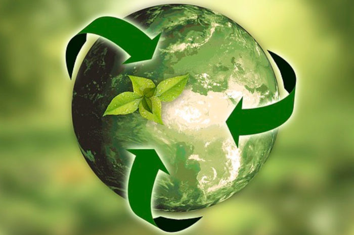 Cooperativismo y cambio climático