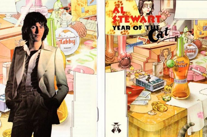 El año del gato