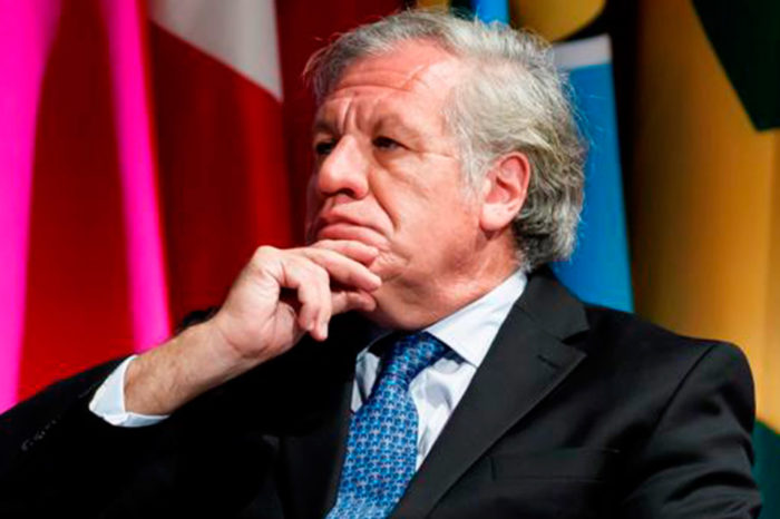 Almagro, cohabitación y complicidad - OEA adolescentes