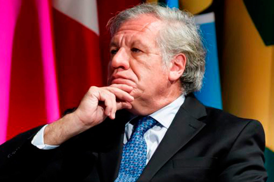 Almagro, cohabitación y complicidad - OEA adolescentes