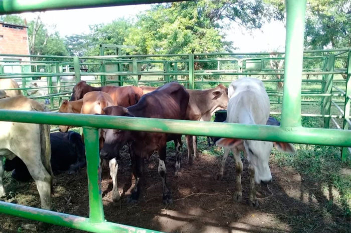 agricultores diésel