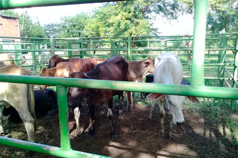 agricultores diésel