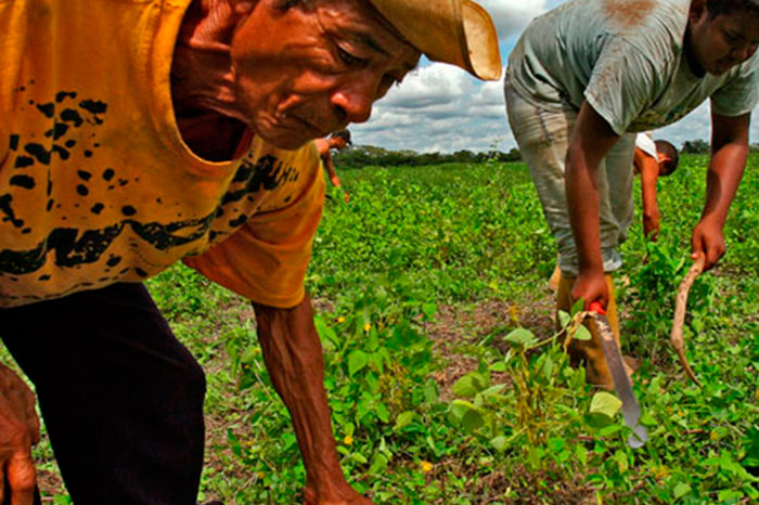 Producción en Venezuela