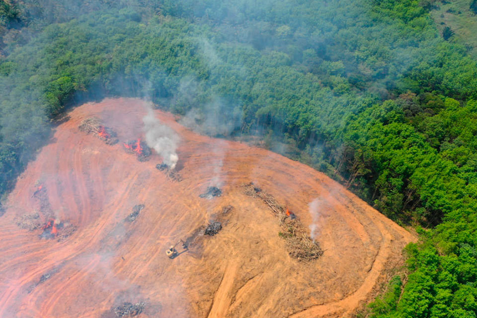 Apaguemos los incendios para detener el cambio climático