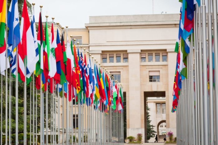 ONU GInebra misión determinacion hechos Dgcim Sebin