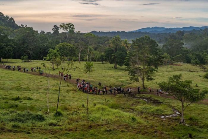 Selva de El Darién