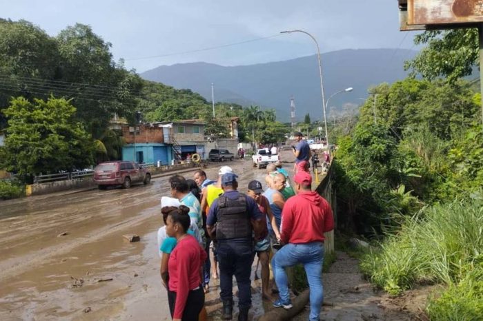 El Castaño