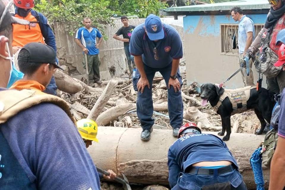 El Castaño
