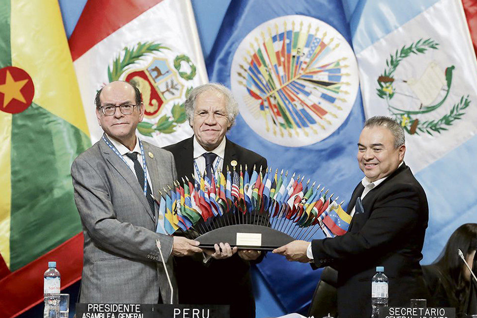 Organización de Estados Americanos (OEA)