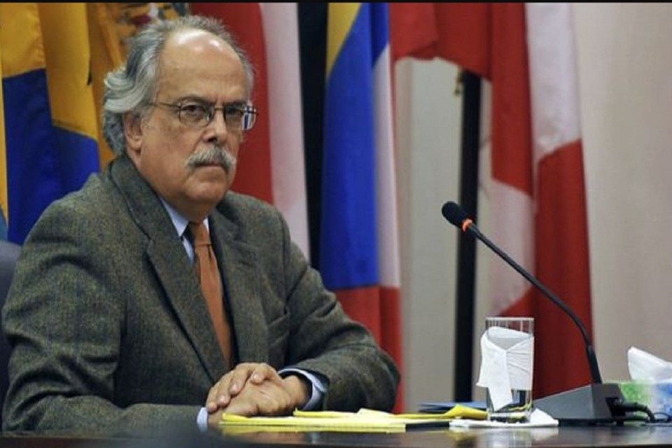 Allan Brewer Carías interinato