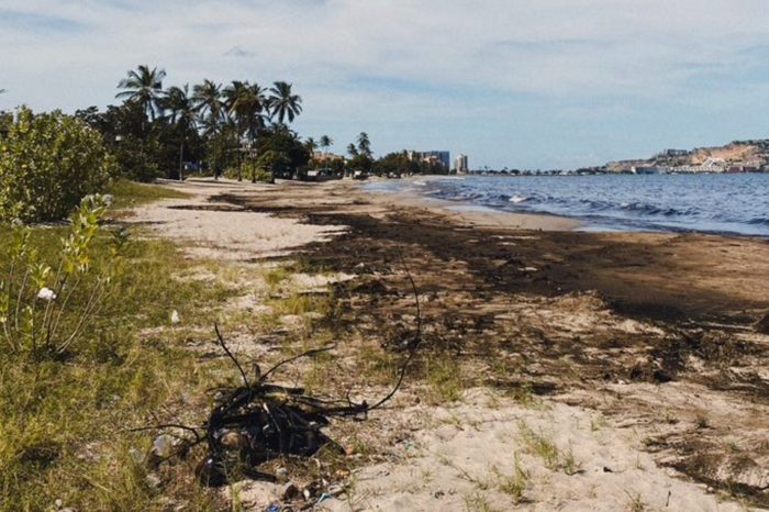 Playa lecheria Anzoategui