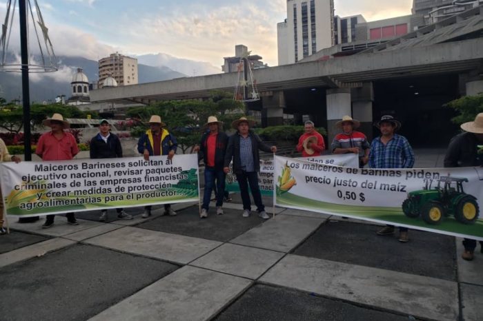 productores maíz 08.12.2022