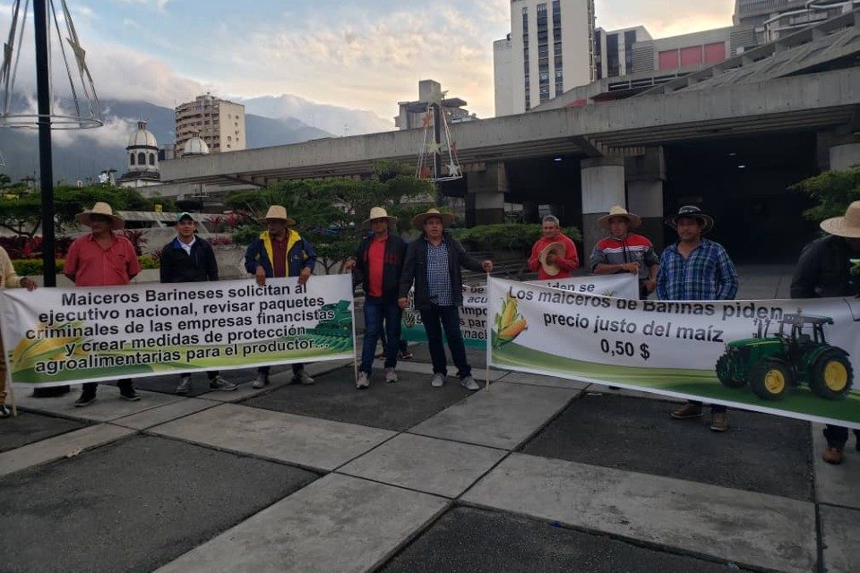 productores maíz 08.12.2022