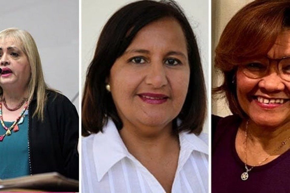 Dinorah Marianela Auristela FAM AN 2015