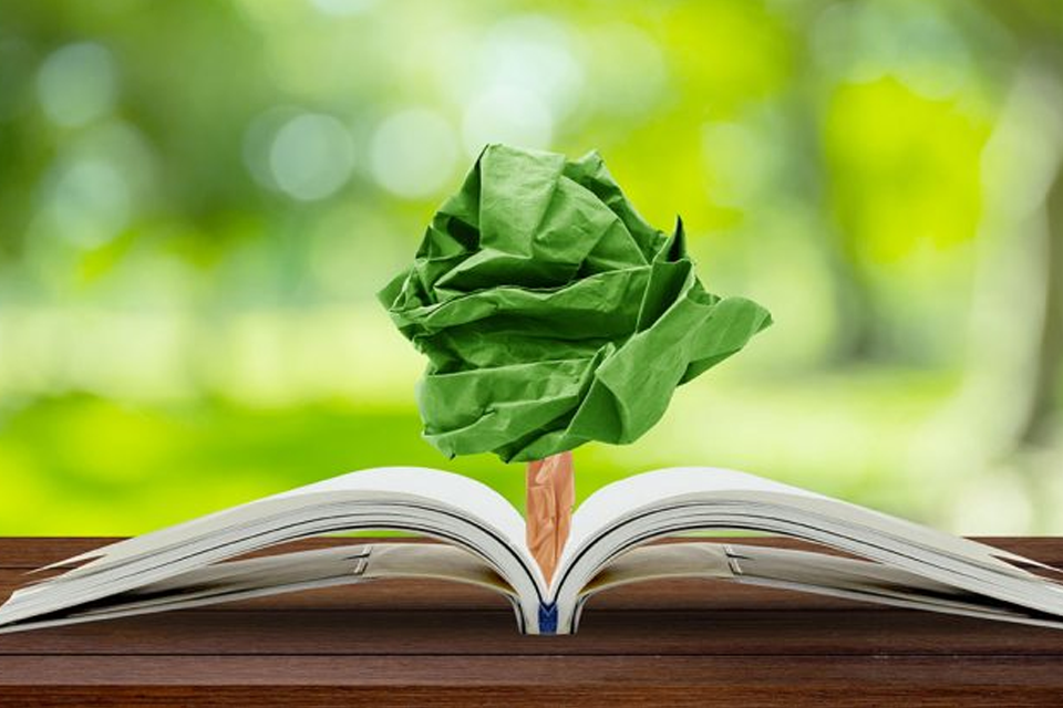 Educación ambiental