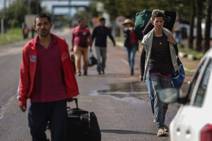 Canadá Iván Gil El papel de la migración venezolana en las elecciones de Brasil - migrantes- onu - oim - red