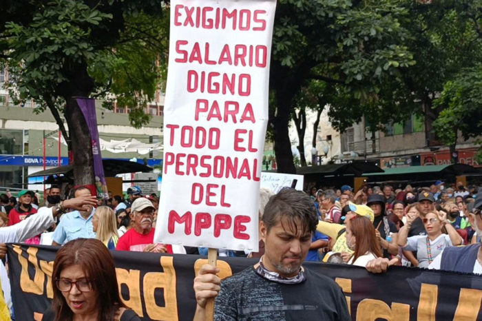 docentes