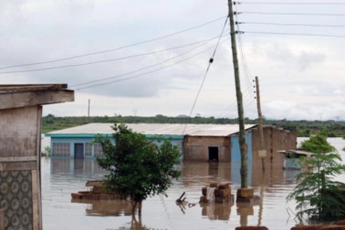 cambio climatico ONU