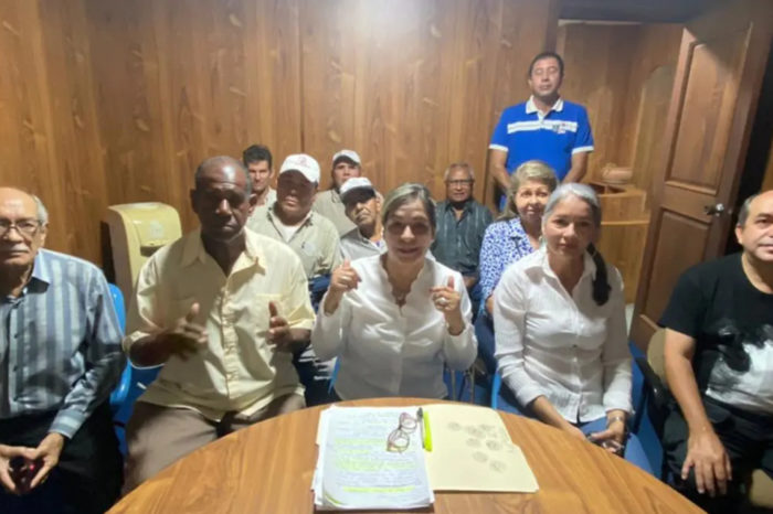 docentes