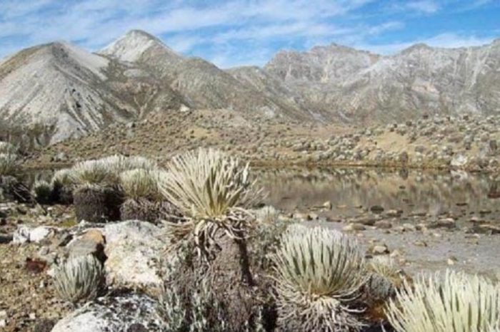 parque nacional Sierra La Culata