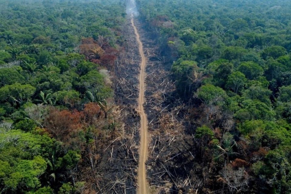 Amazonía brasilseña