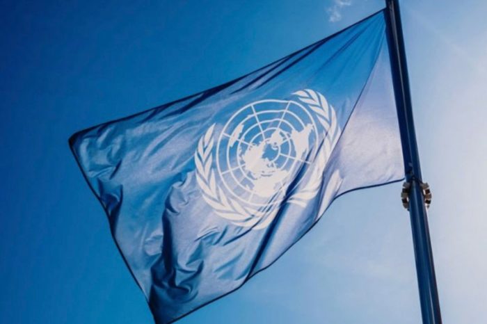onu dinero
