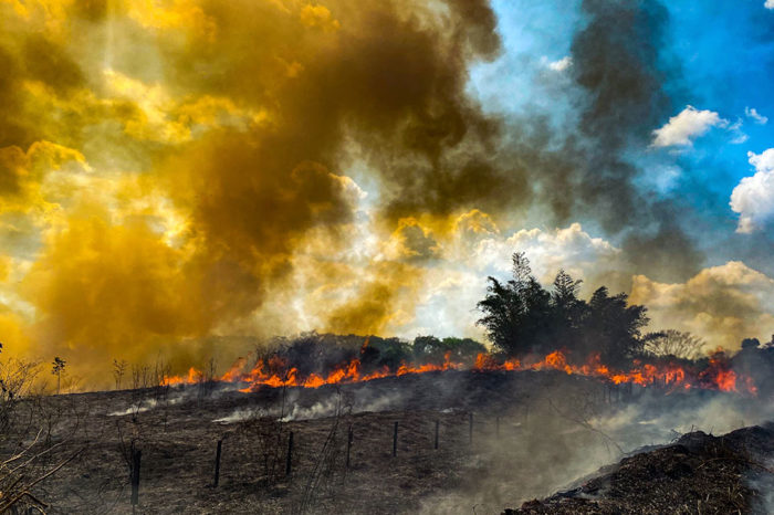 La crisis climática: una crisis de liderazgo e imaginación