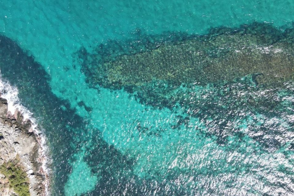 Valle seco Choroni Aragua coral invasor