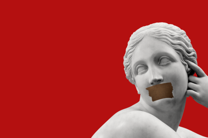 Desinformación y censura, dos grandes telarañas