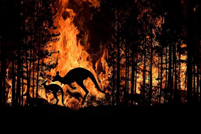 Incendio en el bosque