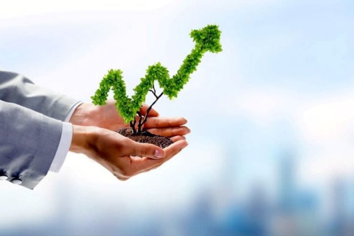 Negocios más “verdes”