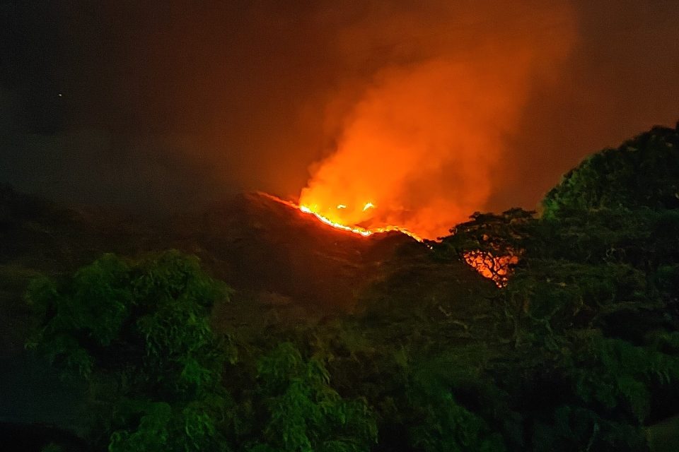 incendio Henri Pittier 28.02.23 Gregoria Diaz