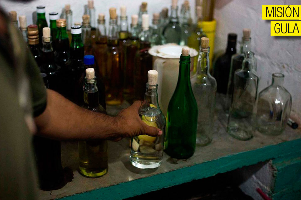 Misión Gula Cocuy cocui