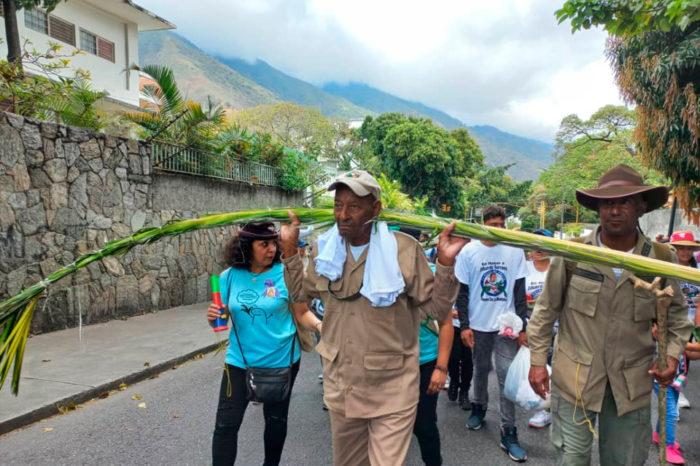 Palmeros de Chacao