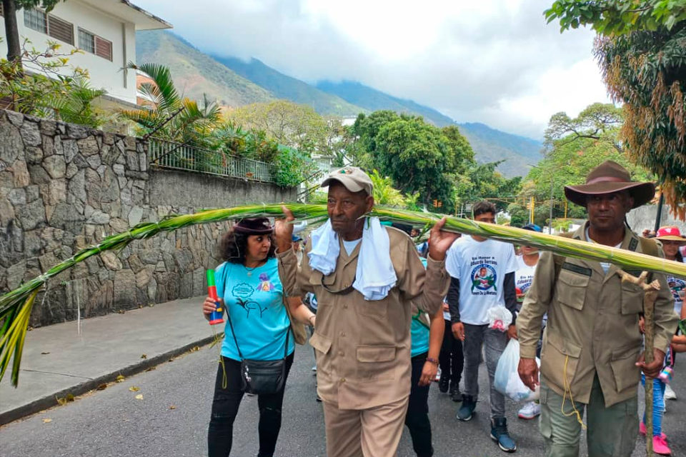 Palmeros de Chacao