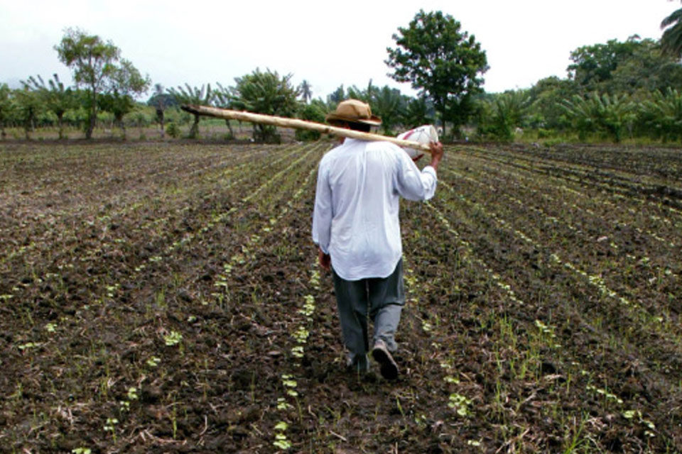 Bolsa Agrícola