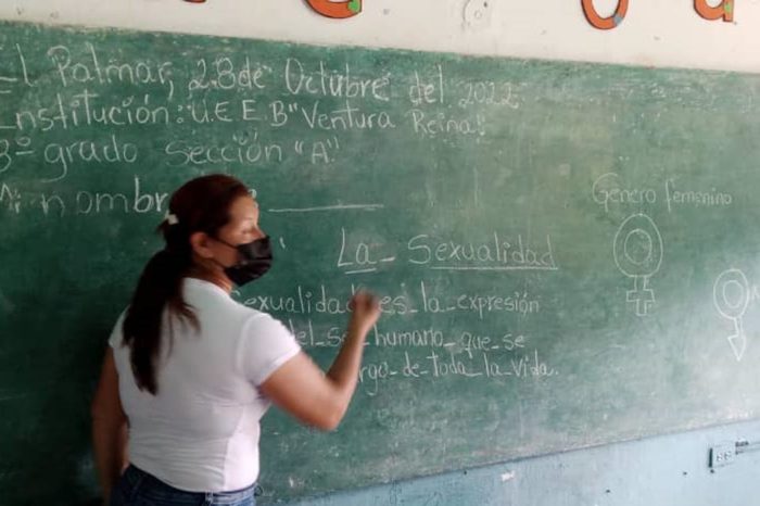docentes