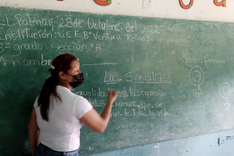 docentes