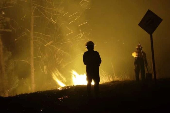 incendios forestales
