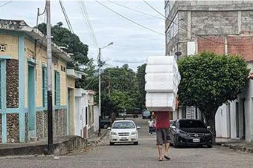 Trochas - trocheros