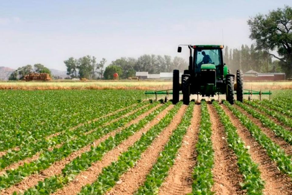 Fedeagro sobre inversión para alcanzar la soberanía alimentaria gasoil