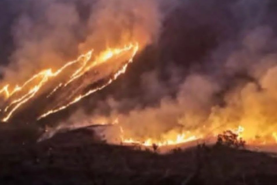 Incendio Henri Pittier 01.05.2023