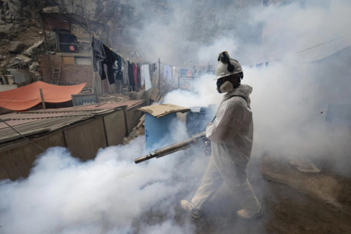 PERU DENGUE