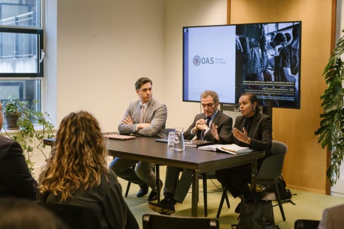 Panel de expertos OEA