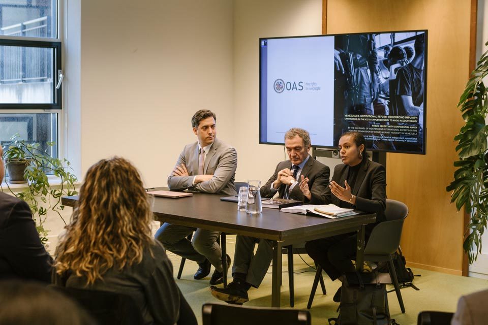 Panel de expertos OEA