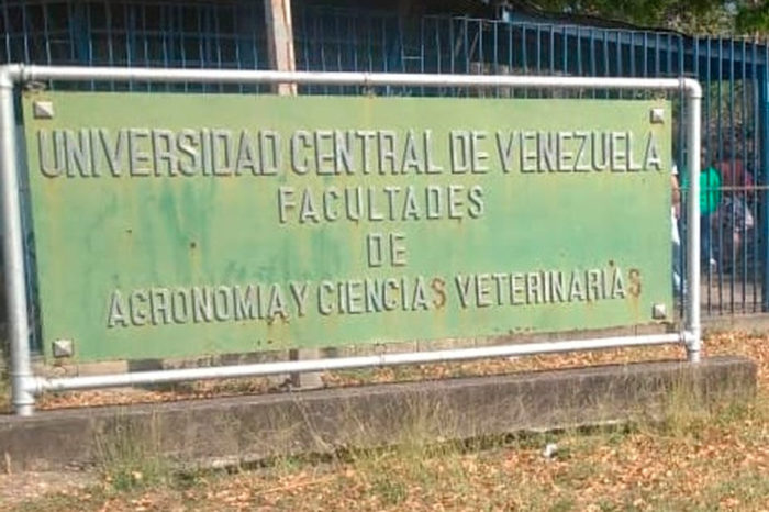 UCV Maracay