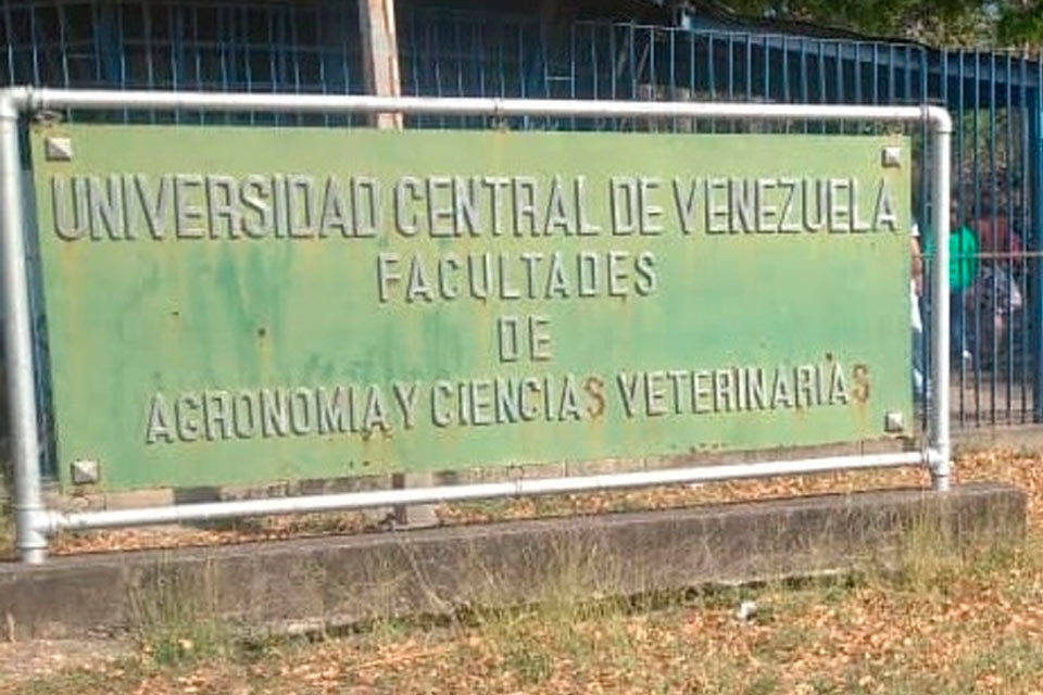 UCV Maracay