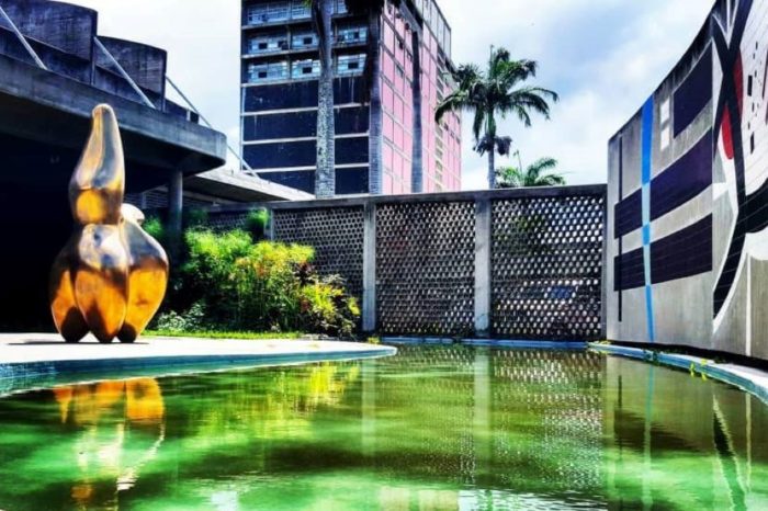 La universidad