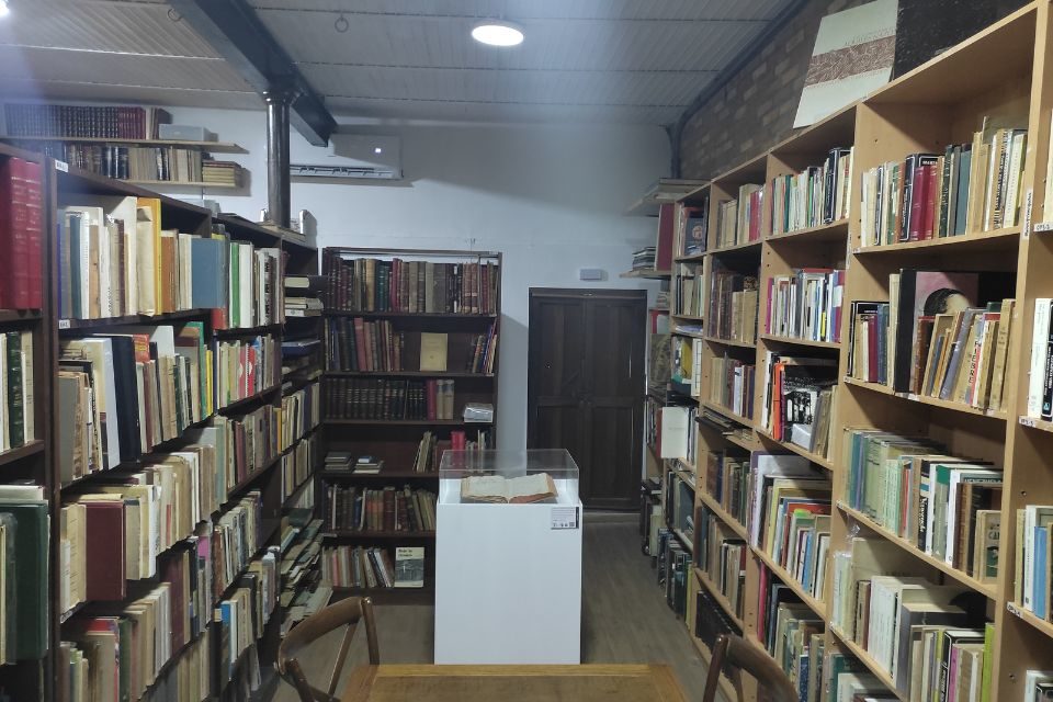 textos libros